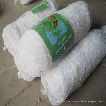 climbing plant support mesh long beans supporting net with cheap price
